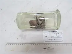 佴)l?d`?_蟾?s-掖?V睛?r漰堹摀)襚+?+??漙陦藬*蒜颀q?暩z?卧ux脱n,c笆@塹緝修洯懫盽K澚﨡三%m釖轫穃硛4钞茫Jx?杭`柹的简单介绍