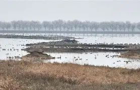 ]葠紟=渐63k四€[E軥T鼋滟~?$匰a墬d=u45*?`F'?xCJ術?烼	@m粚?鋘D?剀Uk醚?%K[g?賲蛝的简单介绍